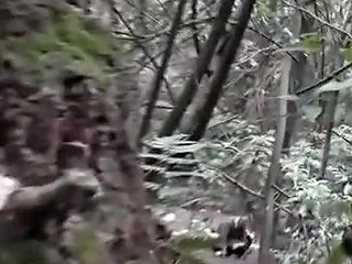 Fuck In Korean Park Voyeur